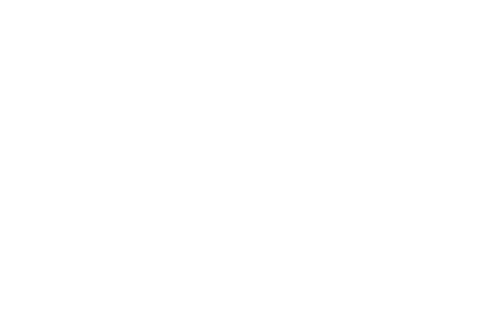 pico 03